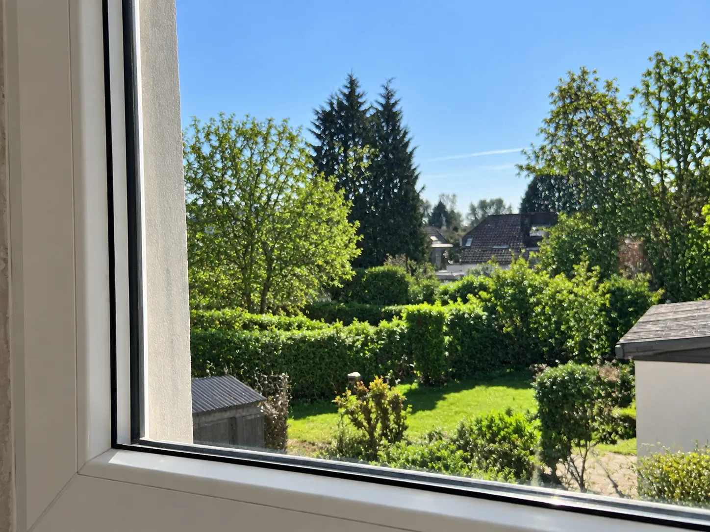 Fenster nach der professionellen Reinigung – klar und streifenfrei